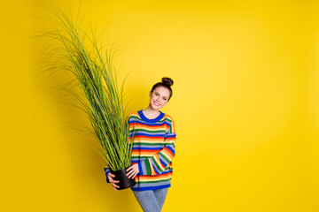 Photo of young attractive girl hold houseplants happy positive wear denim isolated over yellow color background