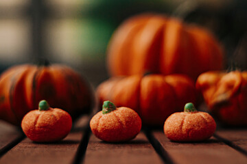 Seven orange pumpkins of different sizes organized in rows