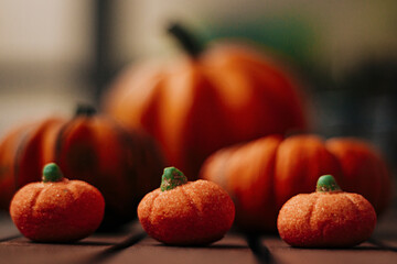 Six orange pumpkins of different sizes organized in rows