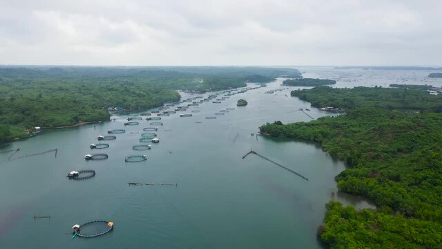 Aerial view of fish ponds for bangus, milkfish. Fish farm, top view. large scale traditional floating fish farms.