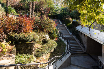 stairs in the garden