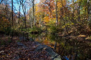 The colorful trees reflect off the Loch in the North Woods of Central Park, New York City