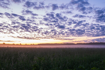 A big blue sky with a beautiful orange sunset.