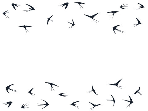 Flying martlet birds silhouettes vector illustration. Nomadic martlets school isolated on white. 
