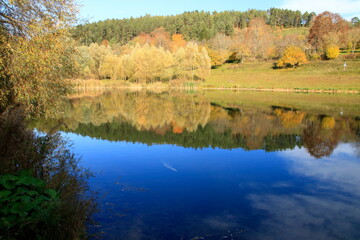 Blick auf den Gültlinger See. Der Herbstwald spiegelt sich im See.