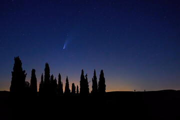 Comet Neowise above silhoutte of cypress trees against starry sky. Tuscany,  San Quirico d'Orcia, Italy