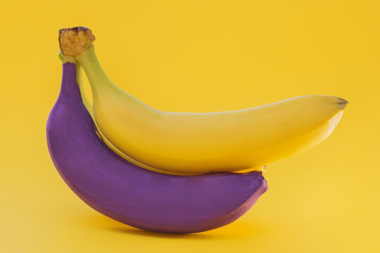 on a yellow background in a bunch of two bananas, one yellow, the other purple. The idea is to be unique, not like everyone else, to stand out from the crowd. Horizontal photo, close-up