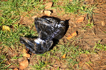 Tüte zum aufsammeln von Hundekot wurde weggeworfen