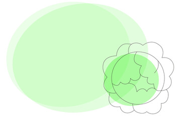 Drawing of cabbage. Drawn frame. Empty background for text