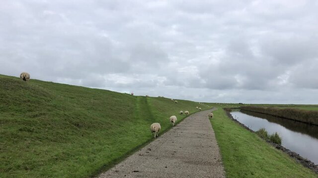 Deich Bilder Durchsuchen 95,522 Archivfotos, und