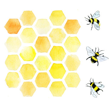 watercolor illustration, set of elements honeycomb, honey, bees. hand drawing, clip-art on the theme of beekeeping, farming, honey. natural products, ecological food.