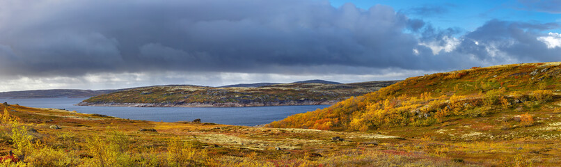 Panoramic view of a lake with vegetation in the tundra in autumn. Kola Peninsula, Russia.