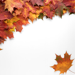 Border frame of colorful autumn leaves isolated on white background. Autumn, fall, thanksgiving day, nature concept. Flat lay, top view, copy space.