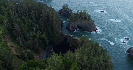 Tilt up aerial, woodland coastline in Oregon