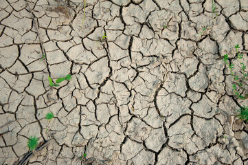 Cracked dry soil after the flood