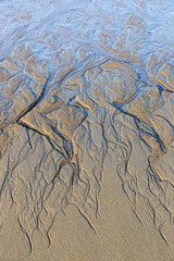 Drawing on the sand after low tide on a sunny day in Teriberka. Kola Peninsula, Russia.
