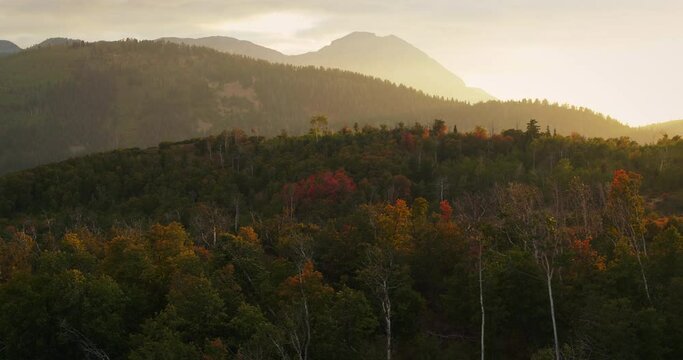 Sun sets over autumn forest in Utah, wide aerial