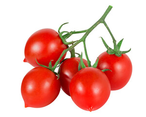 Tomatoes on a branch isolated on white background with clipping path