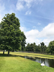 Fototapeta na wymiar garden of Hampton Court palace in Richmond, England, United Kingdom