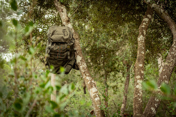 Green mountain or camping backpack hanging from a tree in the green forest of Mediterranean landscape.