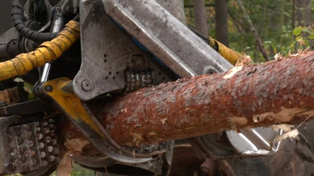 Heavy forestry vehicle harvester employed in cut-to-length logging operations. Forest harvester at work - processing spruce forest. Claw manipulator of industrial forest harvester, closeup. 

