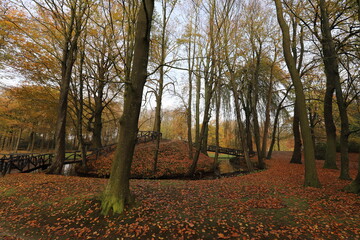 A city park covered with autumn leaves.