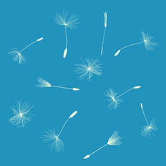 Vector drawing, dandelion blue background.  Gift boxes for decoration of postcards, holiday, decoration