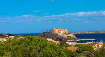 Naklejka na ściany i meble Panorama view of citadel with houses in Calvi bay, Corsica island, France. Beautiful travel picture of famous tourist destination. France