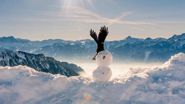 Snowman in Christmas day. Crow standing on the head of snow man in winter. Yellow-billed Chough. Alpine Chough. Pyrrhocorax graculus. Rochers De Naye, Switzerland.