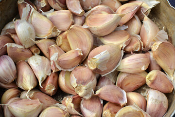 Separated cloves of garlic before planting in the ground