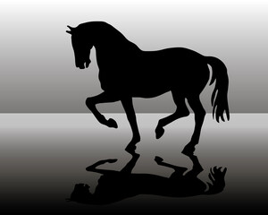 romantic drawn black silhouette of a prancing horse isolated and reflection
