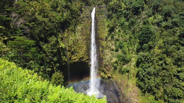 4k locked off handheld motion of Akaka Falls, Beautiful pristine nature landscape showing the famous 442 foot scenic waterfall,big island,Hawaii,USA