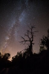 Milky Way captured in the forest in Las Medulas, Castilla y Leon