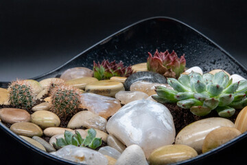 Rectangular arrangement of succulents cactus succulents in a planter of stone