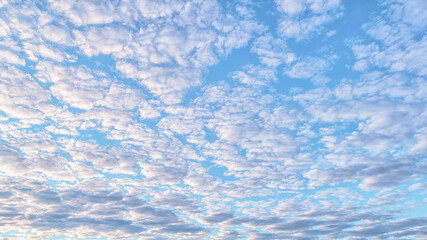 Altocumulus clouds in the sky