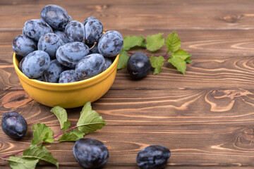 blueberries in a bowl