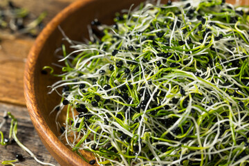 Raw Green Organic Onion Sprouts