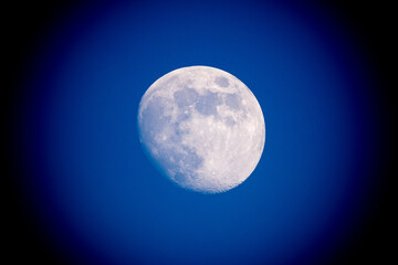 moon in the night
