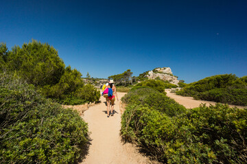 Fototapeta premium sendero de calo des Moro, Cala s'Almunia, Santanyi, Mallorca, balearic islands, spain, europe