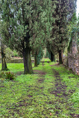 Garden of Ninfa and old wall view