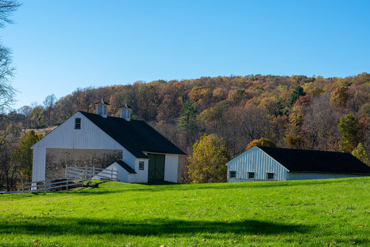 Two White Barns With a Tree Covered Hill in the Background at Valley Forge