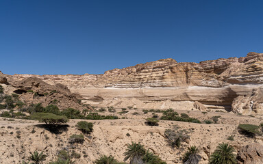 Fototapeta na wymiar Canyon with oasis in the desert of Oman 
