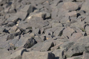 2 - Abstract full frame sharp stone boulder background texture, golden hour