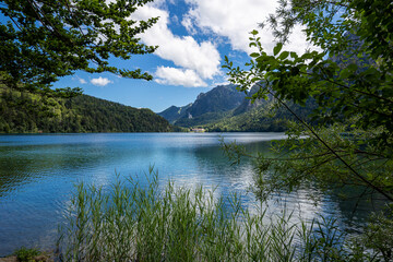 Am Alpsee in Hohenschwangau