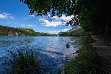 Am Alpsee in Hohenschwangau