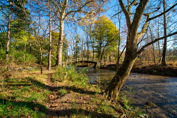 A Wooden Bridge Going Over a Small Stream on a Clear Autumn Day