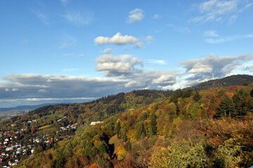 Bunte Herbstwälder auf dem Rosskopf in Freiburg