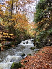 waterfall in autumn