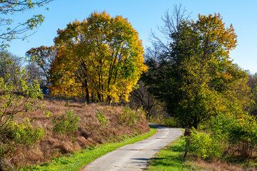 Fototapeta na wymiar A Pathway Leading Into an Autumn Forest at Valley Forge National Historical Park