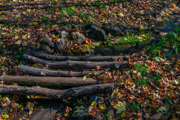 Forest autumn landscapes. Bridge made of wooden blocks.